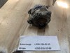 Генератор автомобільний 2310031U00 NISSAN