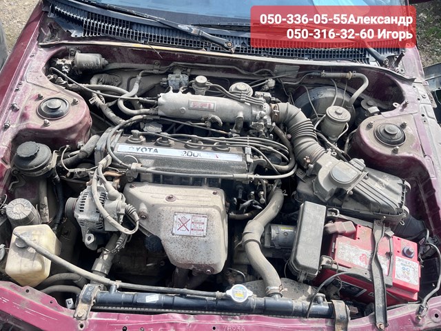 Амортизатор задній, правий 4853020320 TOYOTA