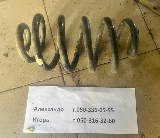 Пружини задні 55020JG21A NISSAN