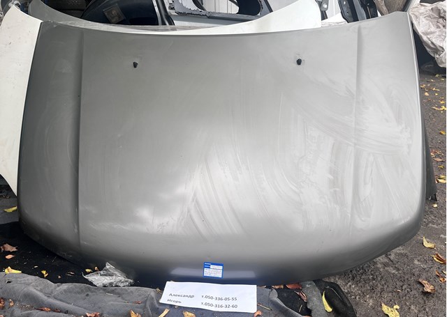Капот 5730065811 SUZUKI