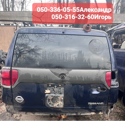 Задні двері багажника 901000X032 NISSAN