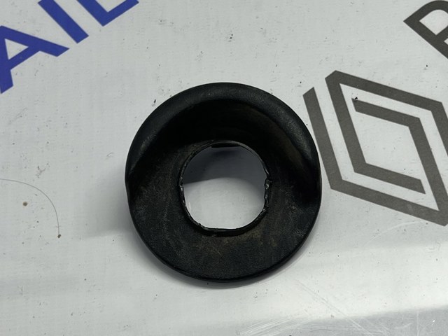 825181895R Renault (RVI)