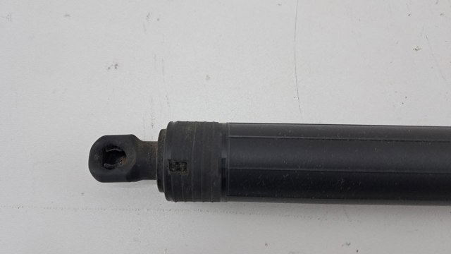 Амортизатор задньої ляди 5LG827851B VAG