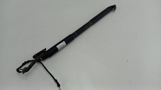 Амортизатор двері 3/5-ї задньої 7263155 BMW