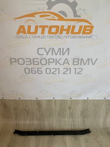 Накладка верхня передній панелі / супорта радіатора 51647200690 BMW