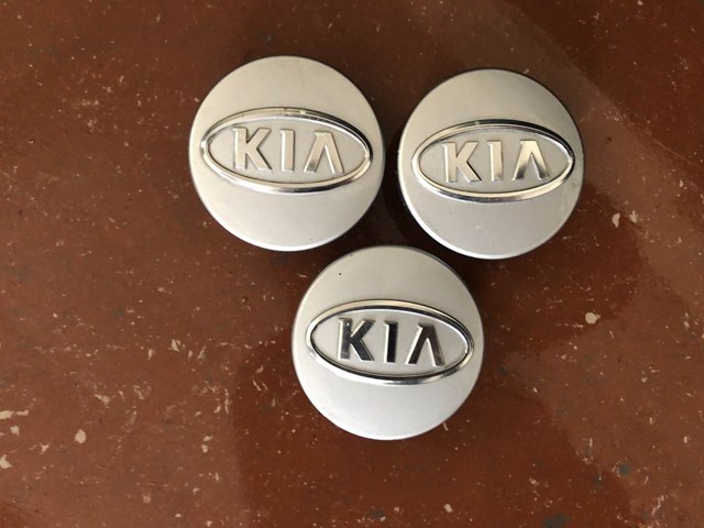 Ковпаки на колеса 529601F250 HYUNDAI