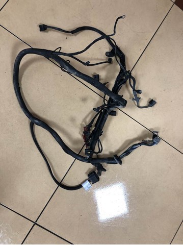 Електропроводка моторного віддсіка A9015404007 MERCEDES