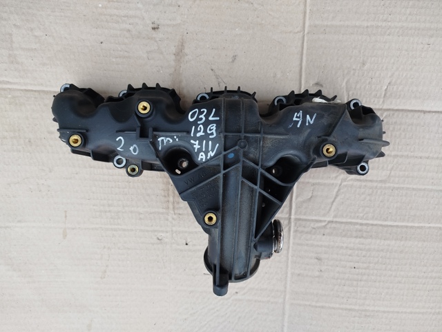 Колектор впускний 03L129711AN VAG