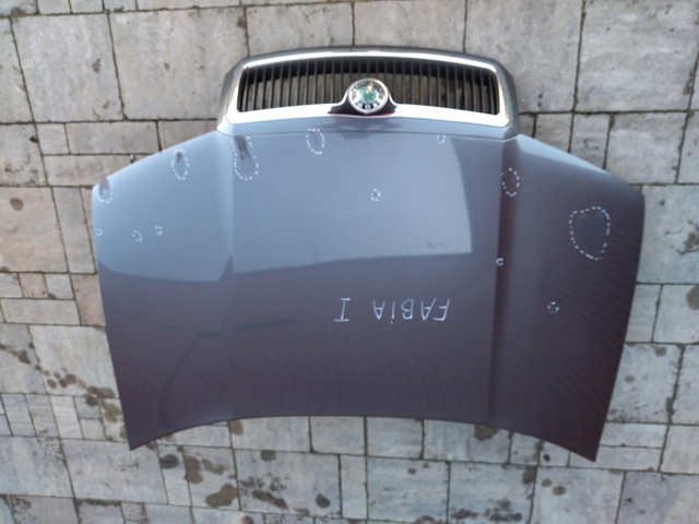 Капот 6Y0823031 VAG
