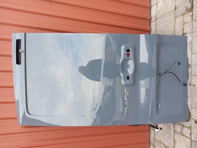 Двері задка (двоє дверей) 901010761R RENAULT