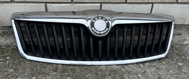 Решітка радіатора 1Z0853668A VAG