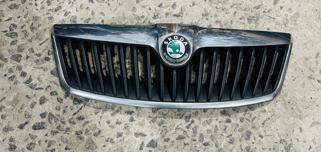 Захисна решітка радіатора 1Z0853668A VAG