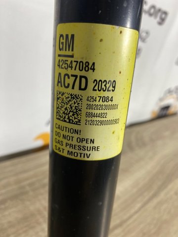 Амортизатори задні 42547084 GM