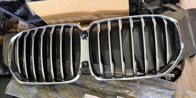 Захисна решітка радіатора 51137454887 BMW