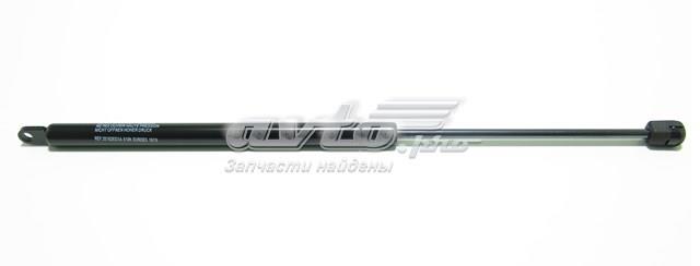 Амортизатор багажника правий VW103931EX EUROEX