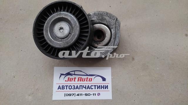 Ролик натяжителя ременя агрегатів 31401286 VOLVO