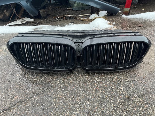 Захисна решітка радіатора 51137497281 BMW