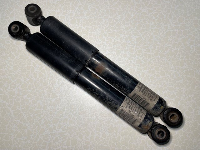 9806036580 Peugeot/Citroen