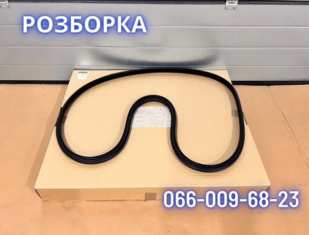 Ущільнювач дверей передніх, правих (на кузові) 808321411R RENAULT