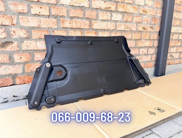 Захист ДВС 8W0863821D VAG