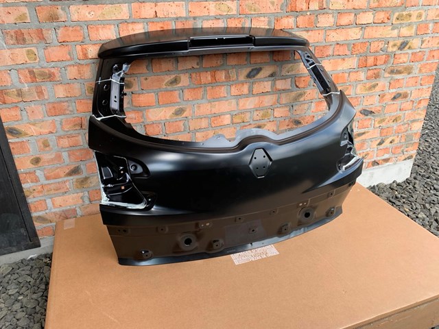 Задні двері багажника 901005799R RENAULT