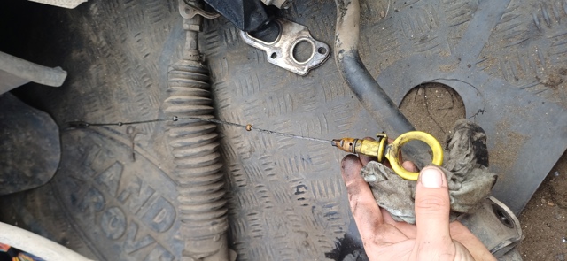 Щуп рівня масла 03L115611L VAG