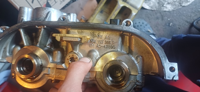 06M103286S VAG