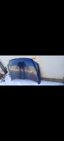 Капот 953003 POLCAR