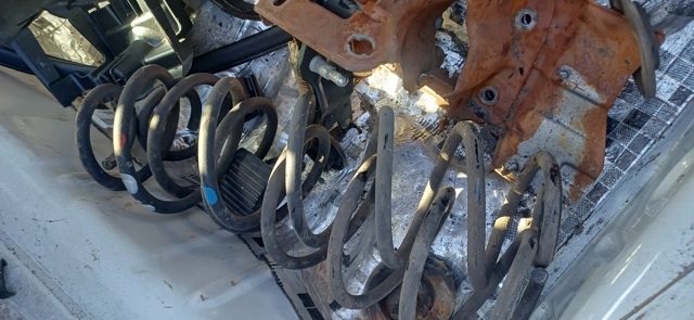 Пружина підвіски задня 9674667180 PEUGEOT