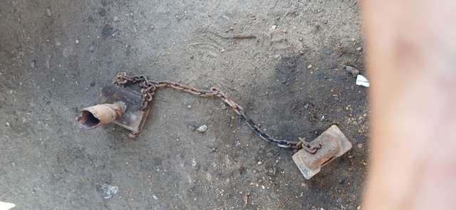 Талі підйому запасного колеса MR995050 MITSUBISHI