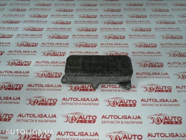 Радіатор масляний 070117021D VAG