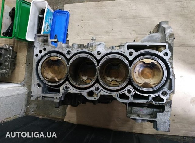 Двигун у зборі 101025HA0F NISSAN
