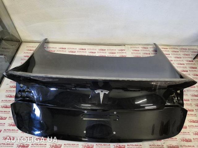 Задня ляда 1081460E0D TESLA
