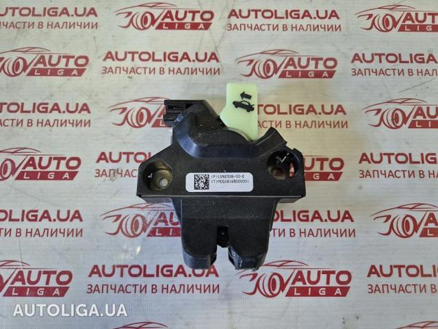 Замок і ручка дверей задка 109230800E TESLA