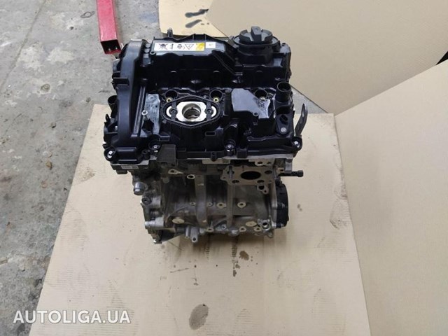 Двигун у зборі 11002450132 BMW
