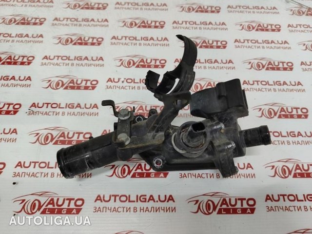 Корпус термостата в зборі 1106000Q02 NISSAN