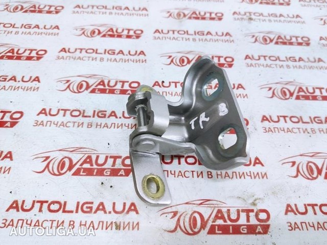 Петля задніх (навстіж) дверей, права верхня 13501714 GM