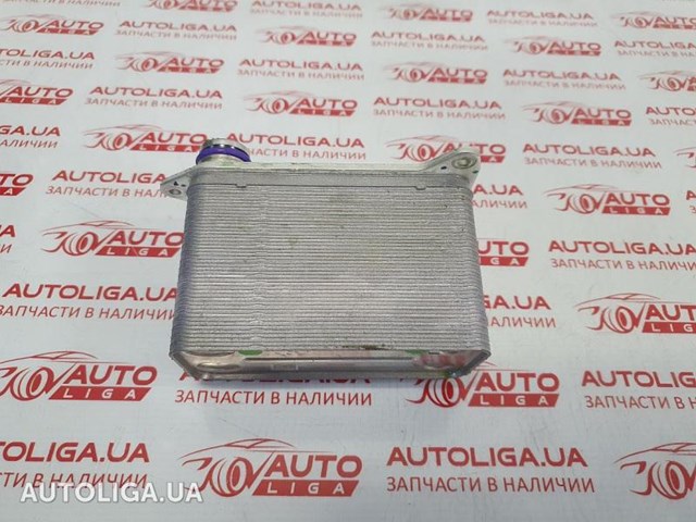 Радіатор інвентора 152300300B TESLA