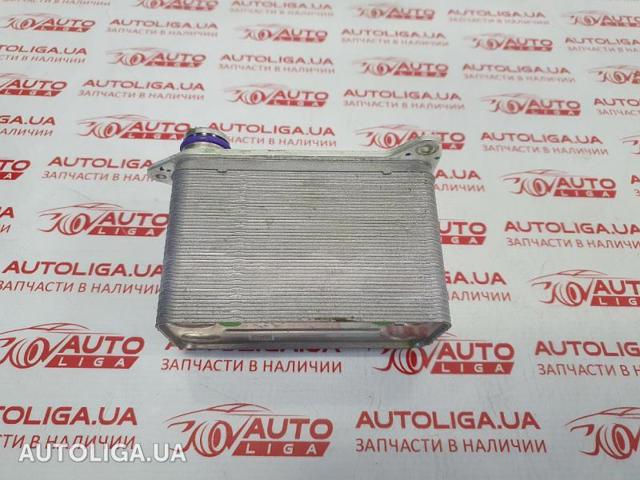 Радіатор інвентора 152300300B Tesla Model