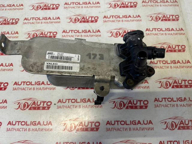 Радіатор охолодження, АКПП 17217600550 BMW