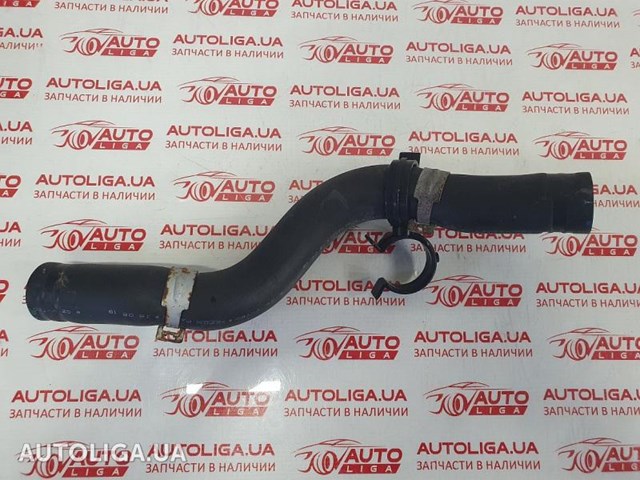 Патрубок системи охолодження 195015J6A10 HONDA