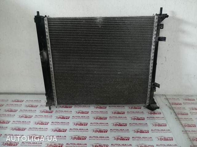Радіатор двигуна 214103LS0A NISSAN