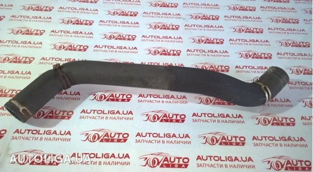 Шланги системи охолодження 215010063R RENAULT