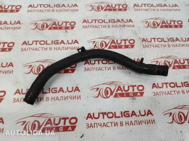 Шланг/патрубок системи охолодження Hyundai Santa Fe 3