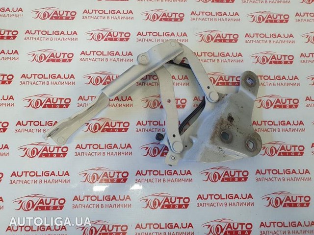 Завіс капота, лівий 41002993149 BMW