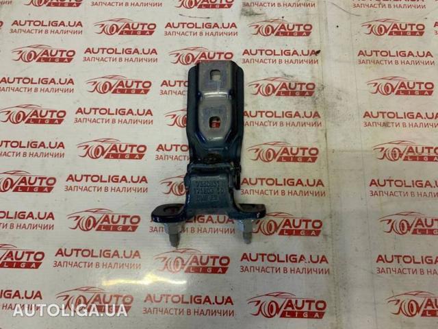 Завіса задніх дверей, ляди 41007350829 BMW