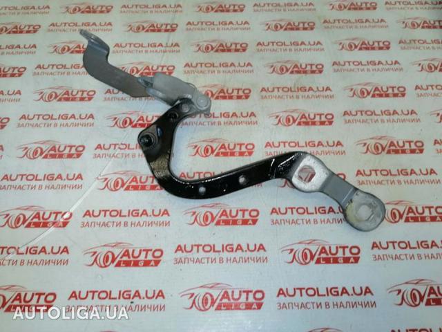 Петля багажника 41007494943 BMW