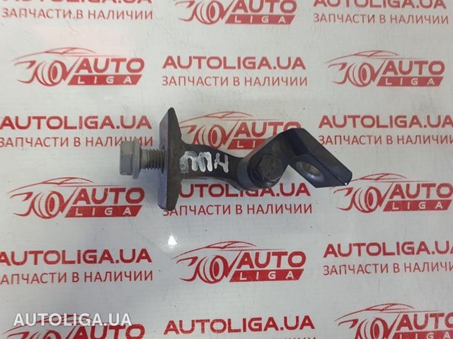 Петля передніх дверей, правою 41517284536 BMW