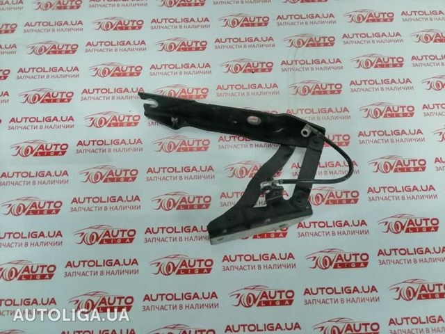 Завіса капота права 41617120276 BMW