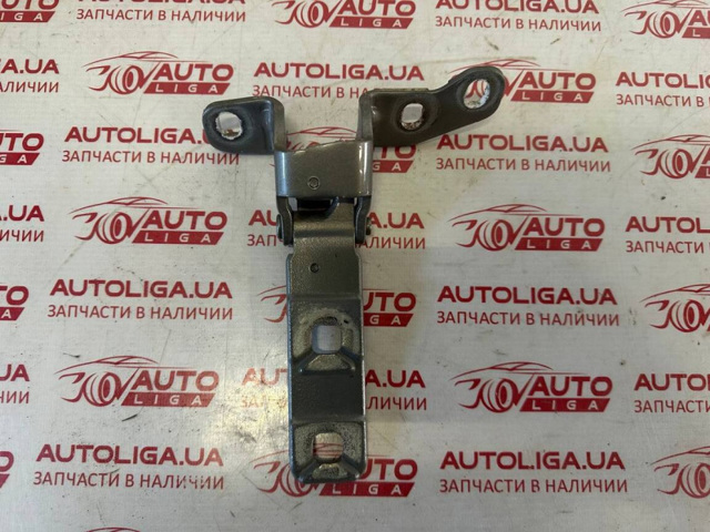Завіса задніх дверей, ляди 41627170921 BMW